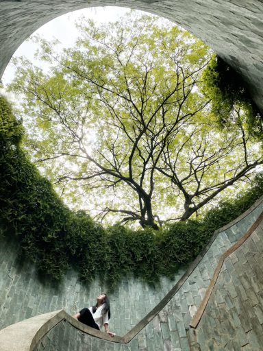 A person sits on a winding staircase, looking up at a large tree above.